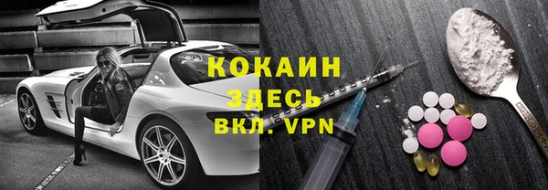 твердый Горняк