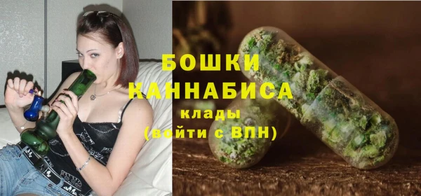 тгк Арсеньев