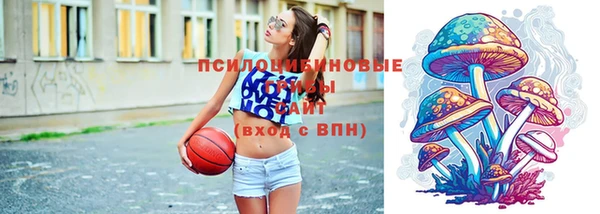 тгк Арсеньев