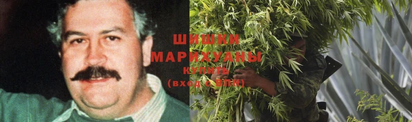 ПСИЛОЦИБИНОВЫЕ ГРИБЫ Аркадак